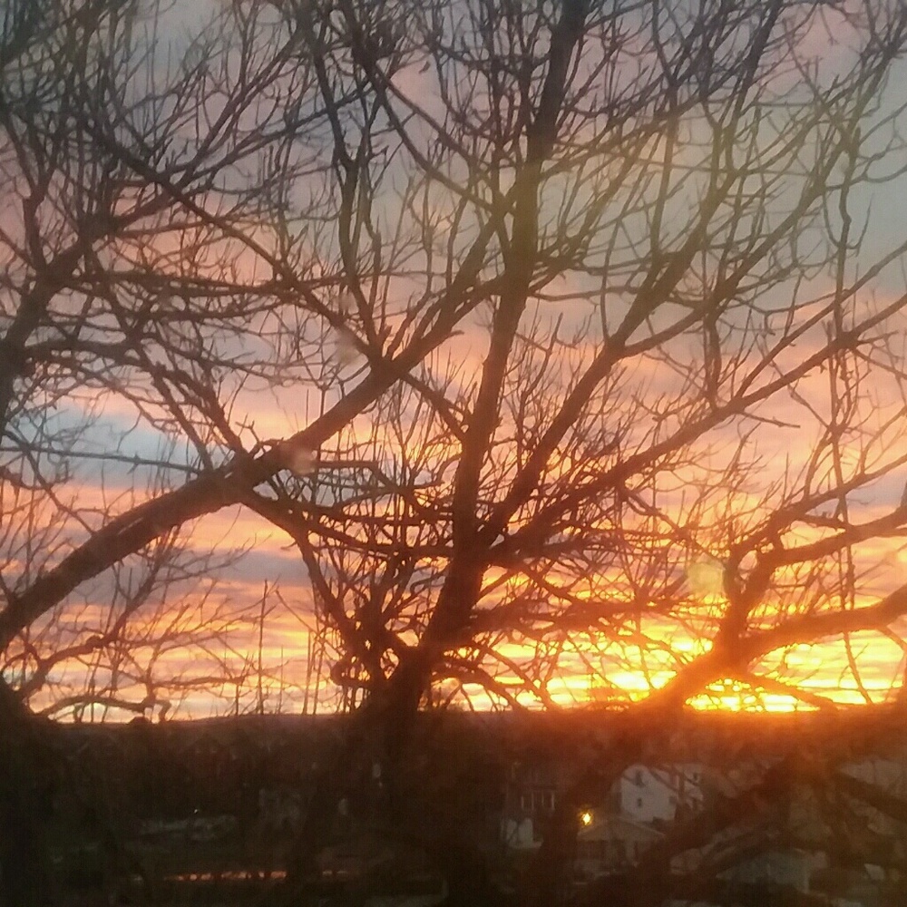 Meet your Posher, Sade